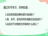 【核心素养】人教版初中生物八年级上册5.2.1《动物的运动》课件＋课时练习＋教案（含教学反思）