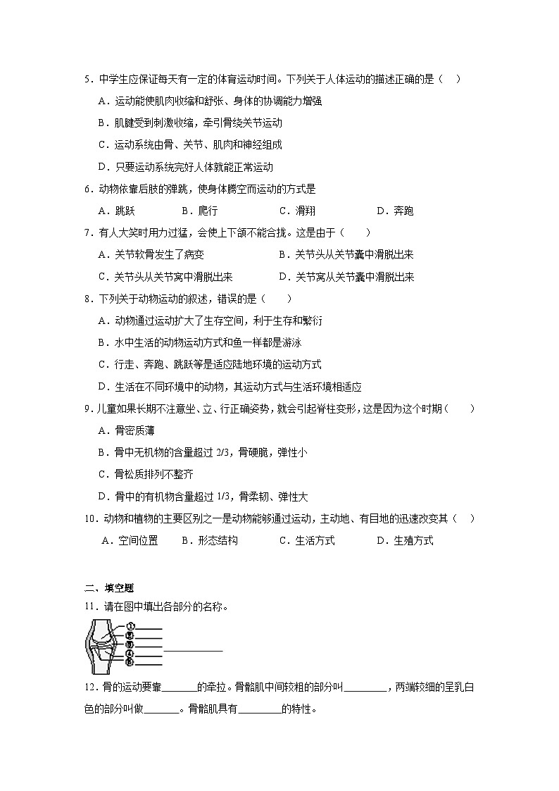 人教版初中生物八年级上册5.2.1《动物的运动》课时练习第2页