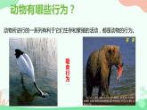 【核心素养】人教版初中生物八年级上册5.2.2《先天性行为和学习行为》课件＋课时练习＋教案（含教学反思）
