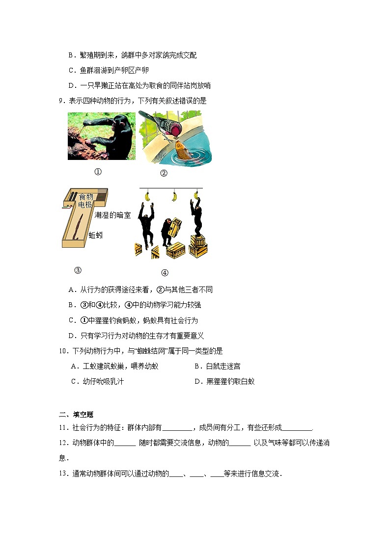 【核心素养】人教版初中生物八年级上册5.2.3《社会行为》课件＋课时练习＋教案（含教学反思）02