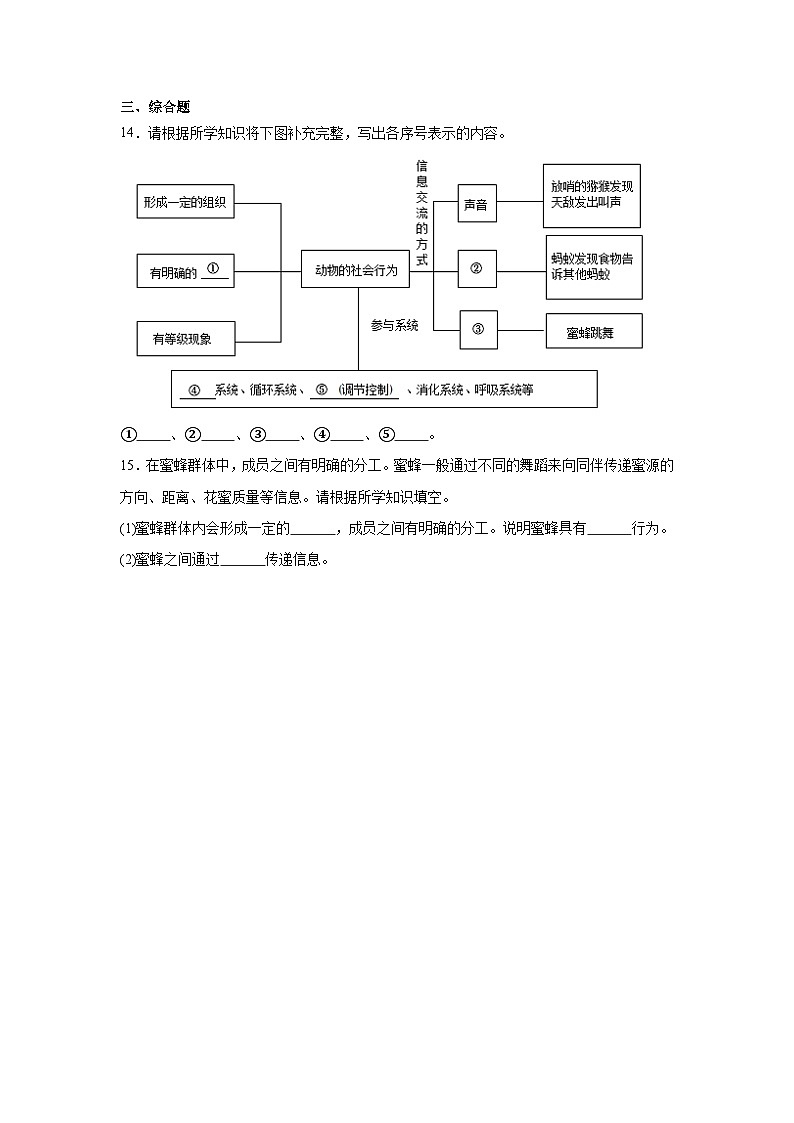 【核心素养】人教版初中生物八年级上册5.2.3《社会行为》课件＋课时练习＋教案（含教学反思）03