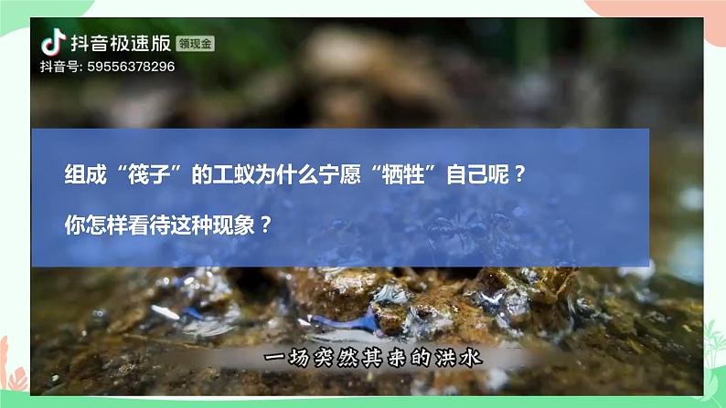 【核心素养】人教版初中生物八年级上册5.2.3《社会行为》课件＋课时练习＋教案（含教学反思）04