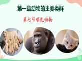 【核心素养】人教版初中生物八年级上册5.1.7《哺乳动物》课件＋课时练习＋教案（含教学反思）