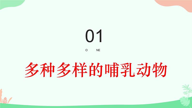 【核心素养】人教版初中生物八年级上册5.1.7《哺乳动物》课件＋课时练习＋教案（含教学反思）04