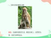 【核心素养】人教版初中生物八年级上册5.1.7《哺乳动物》课件＋课时练习＋教案（含教学反思）