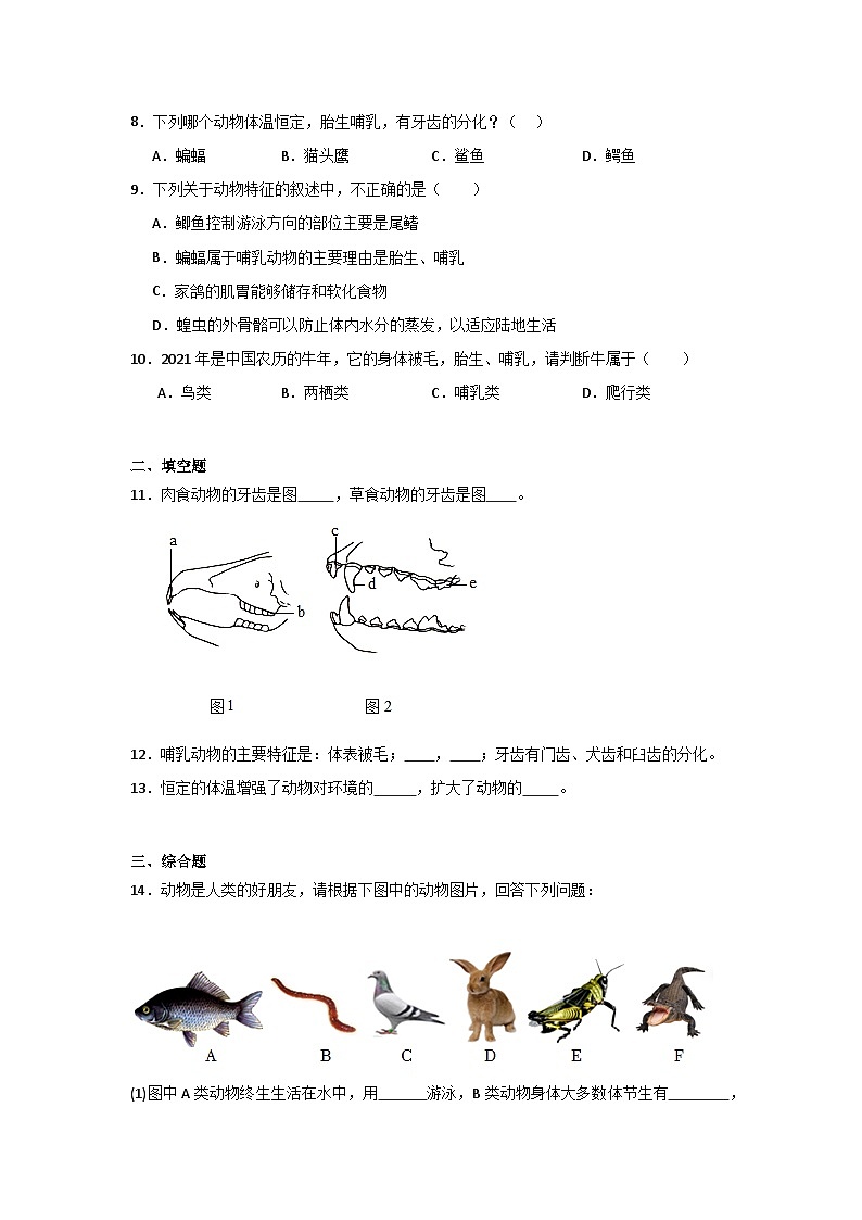 【核心素养】人教版初中生物八年级上册5.1.7《哺乳动物》课件＋课时练习＋教案（含教学反思）02