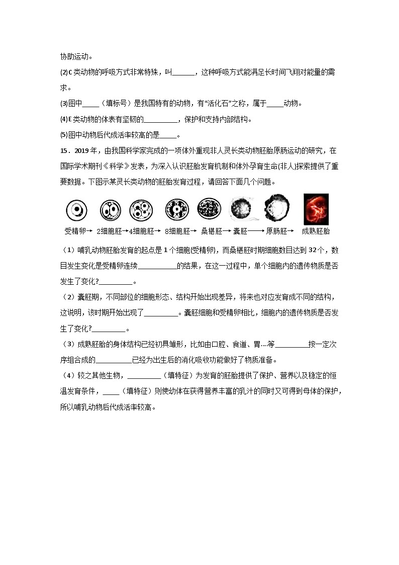 【核心素养】人教版初中生物八年级上册5.1.7《哺乳动物》课件＋课时练习＋教案（含教学反思）03