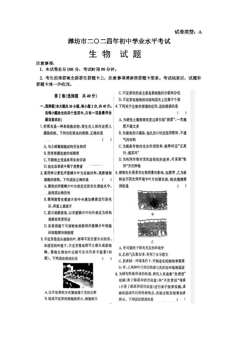 2024年山东省潍坊市中考生物试题01