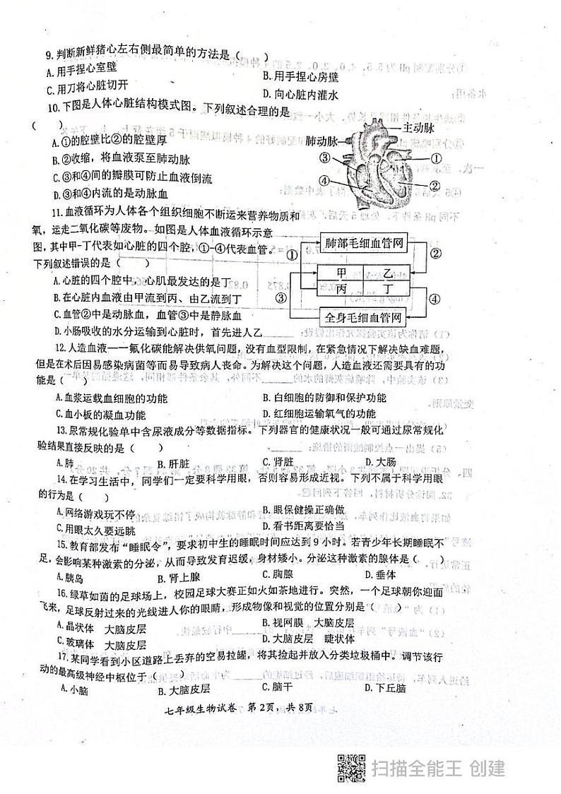 湖南省长沙市宁乡市2023-2024学年七年级下学期期末生物试题02
