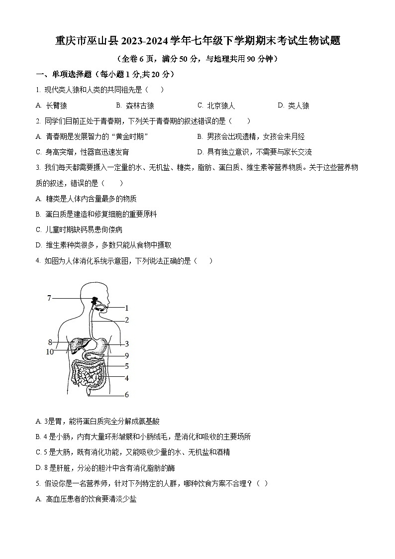 重庆市巫山县2023-2024学年七年级下学期期末生物试题01