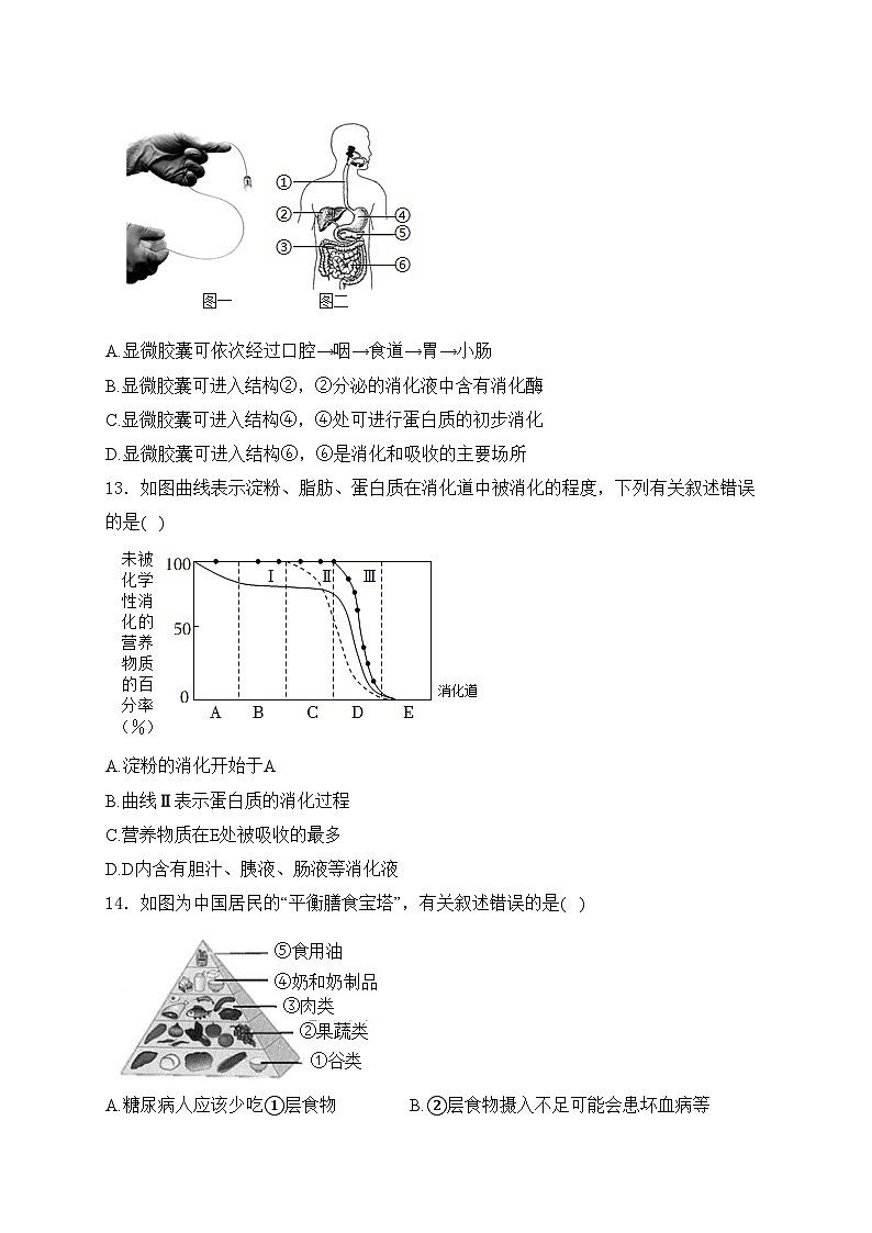 湖南省永州市东安县2023-2024学年七年级下学期期中考试生物试卷(含答案)03