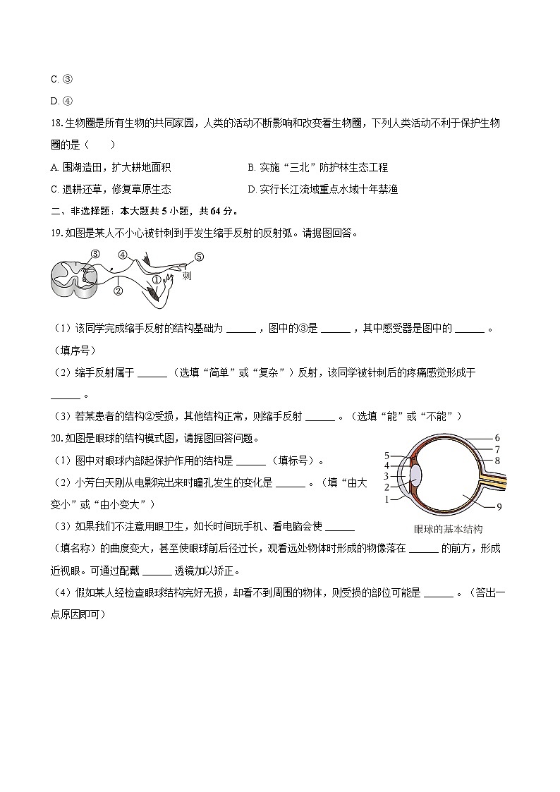 2023-2024学年辽宁省铁岭市西丰县七年级（下）期末生物学学试卷（含答案）第3页