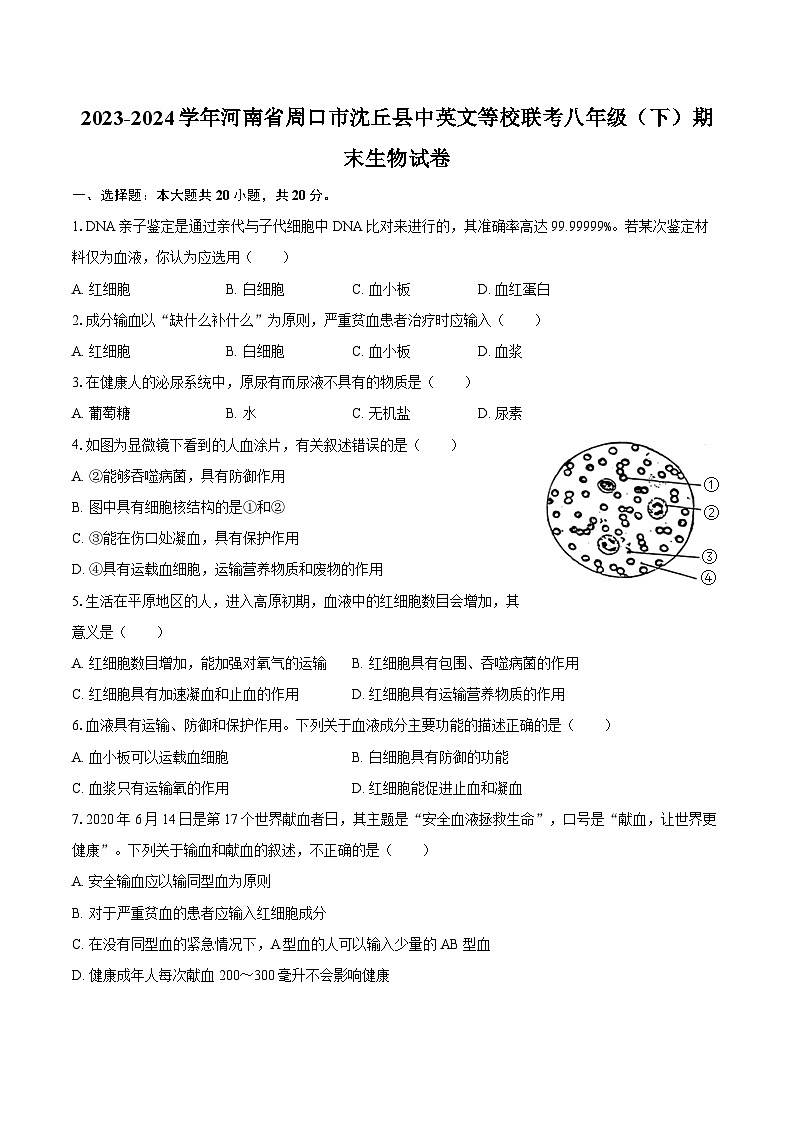 2023-2024学年河南省周口市沈丘县中英文等校联考八年级（下）期末生物学试卷（含答案）第1页