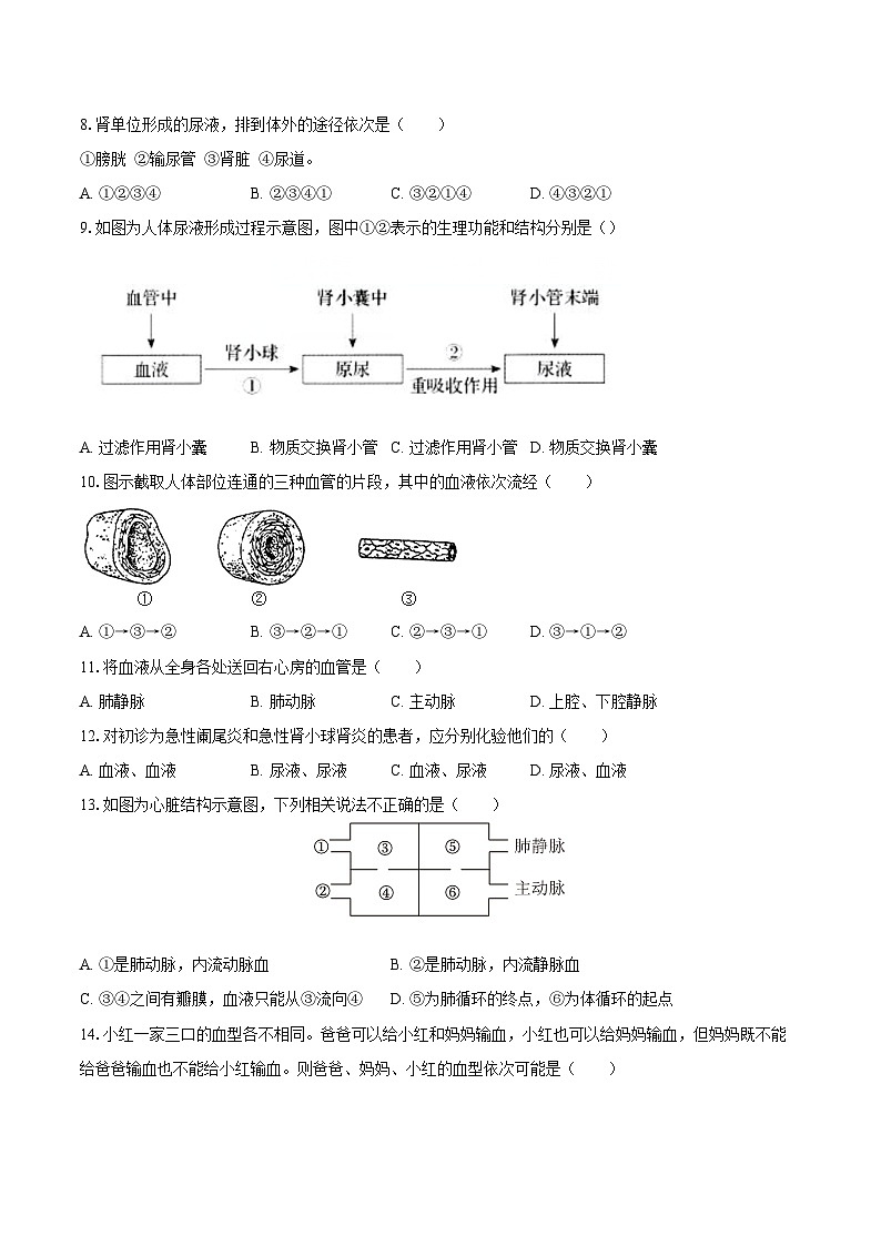 2023-2024学年河南省周口市沈丘县中英文等校联考八年级（下）期末生物学试卷（含答案）第2页