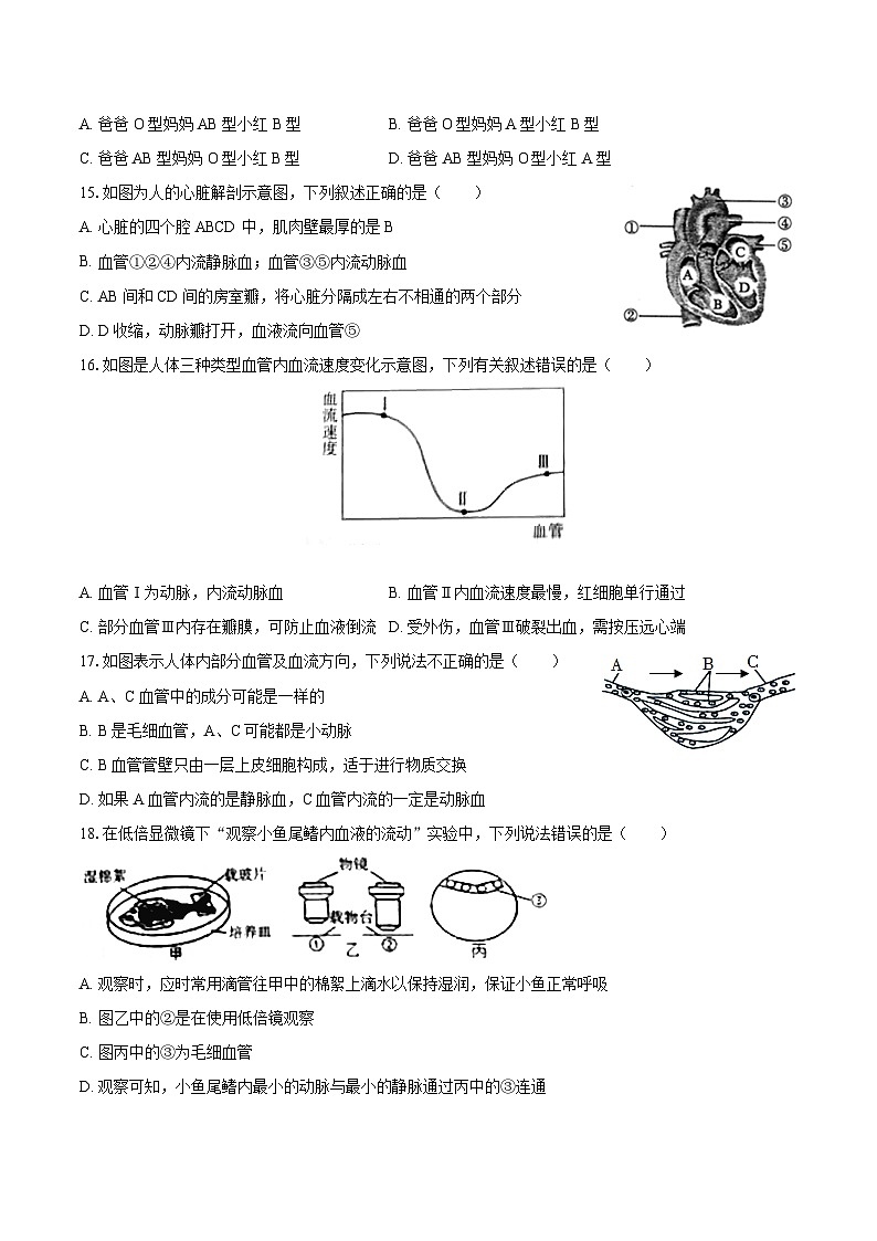 2023-2024学年河南省周口市沈丘县中英文等校联考八年级（下）期末生物学试卷（含答案）第3页