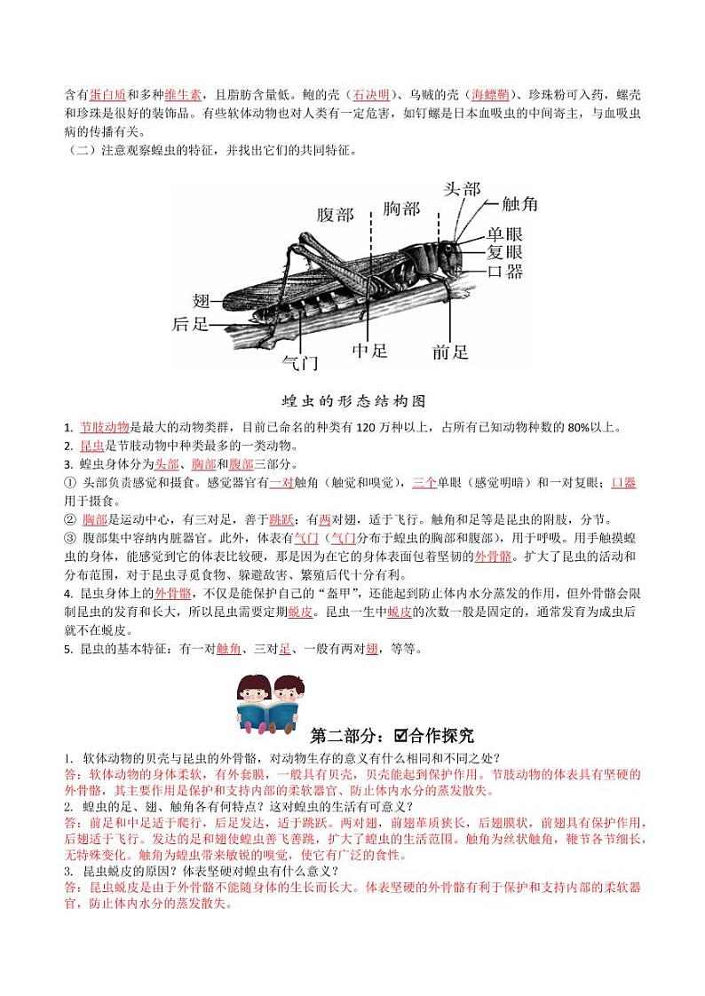 5.1.3 软体动物和节肢动物（导学案）（含答案） 2023-2004八年级生物上册同步讲义（人教版）02
