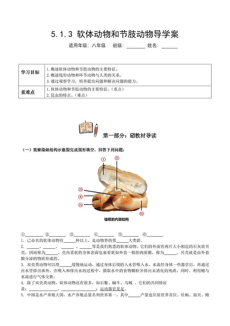 5.1.3 软体动物和节肢动物（导学案）（含答案） 2023-2004八年级生物上册同步讲义（人教版）01