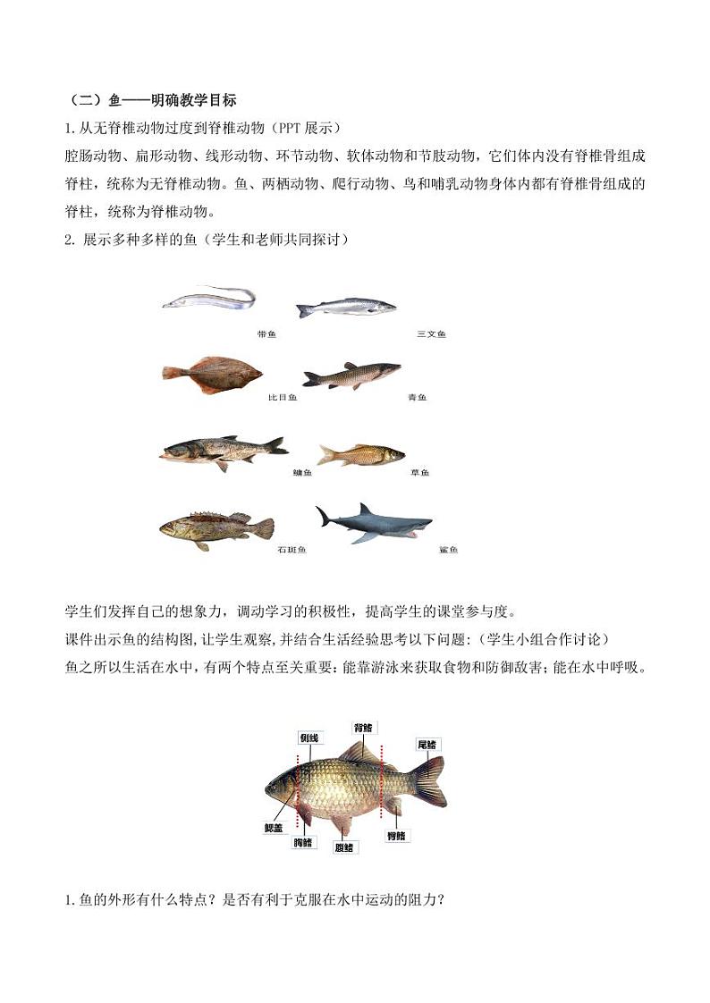 5.1.4 鱼（教学设计） 2023-2004八年级生物上册同步讲义（人教版）第2页