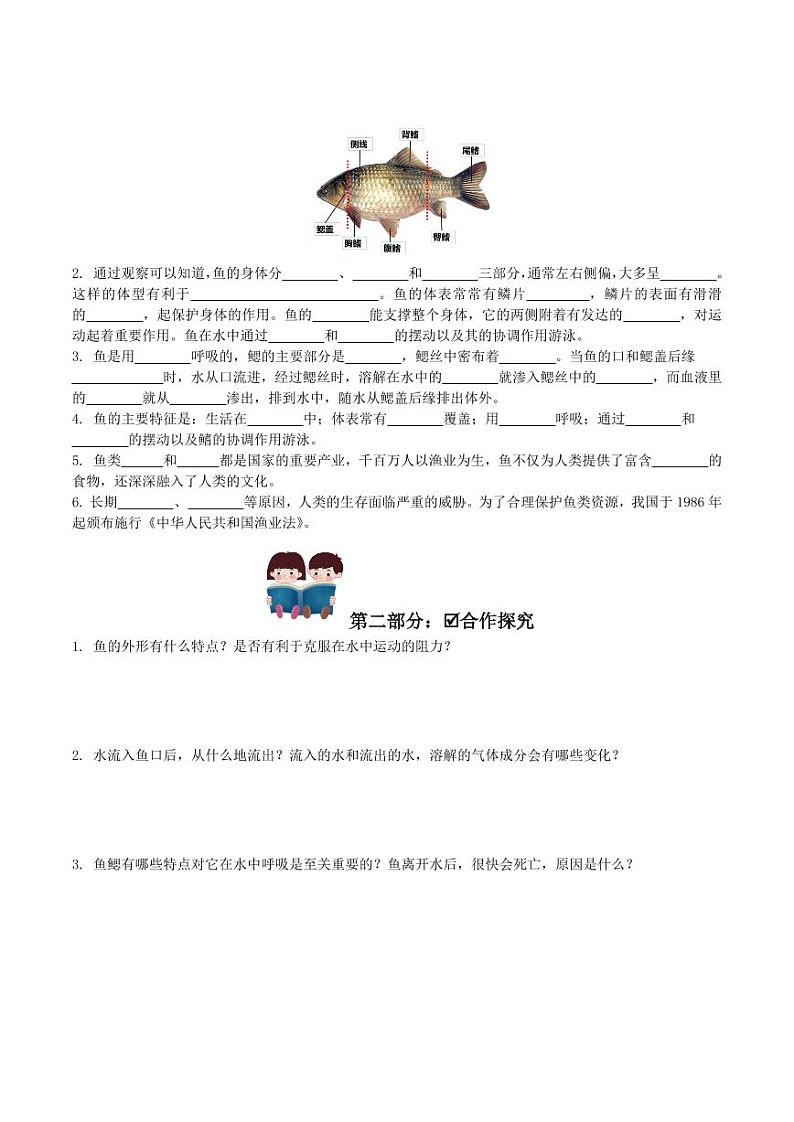 5.1.4 鱼（导学案）（含答案） 2023-2004八年级生物上册同步讲义（人教版）02