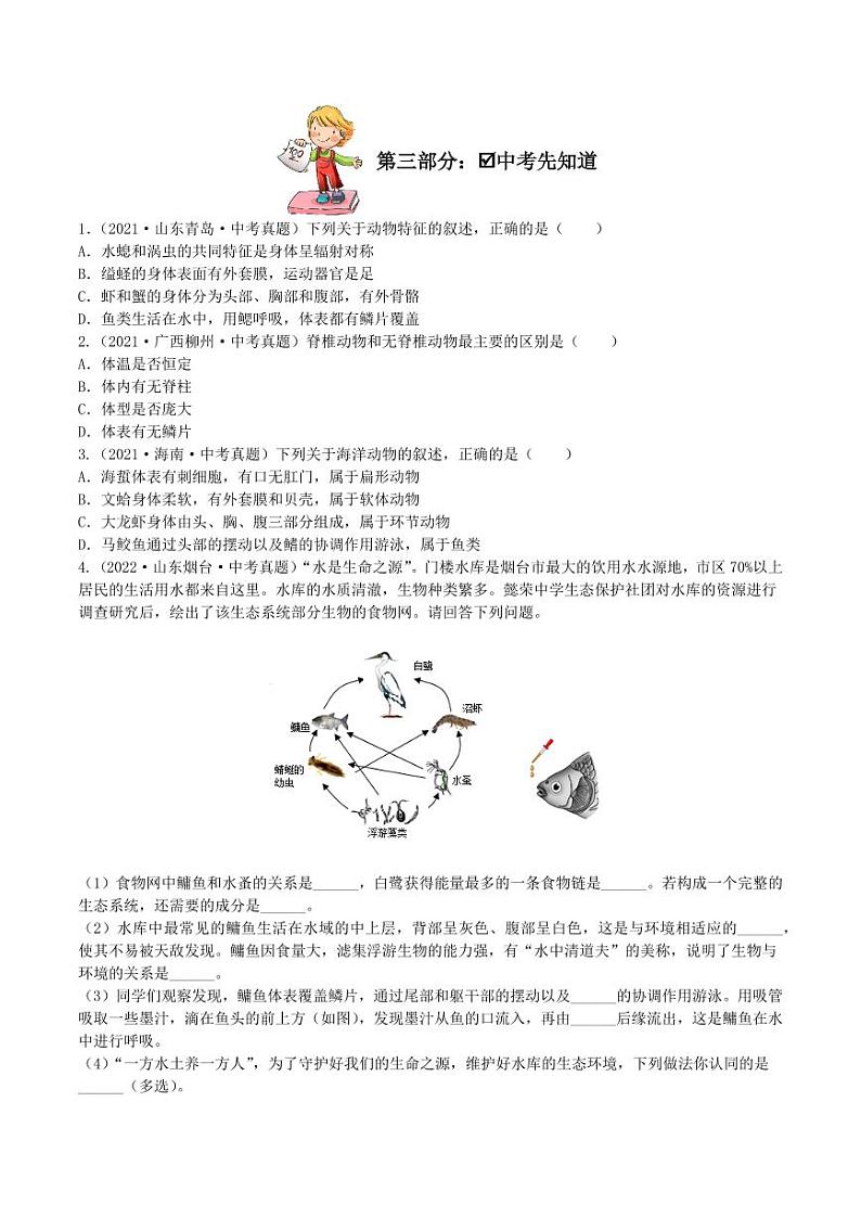 5.1.4 鱼（导学案）（含答案） 2023-2004八年级生物上册同步讲义（人教版）03
