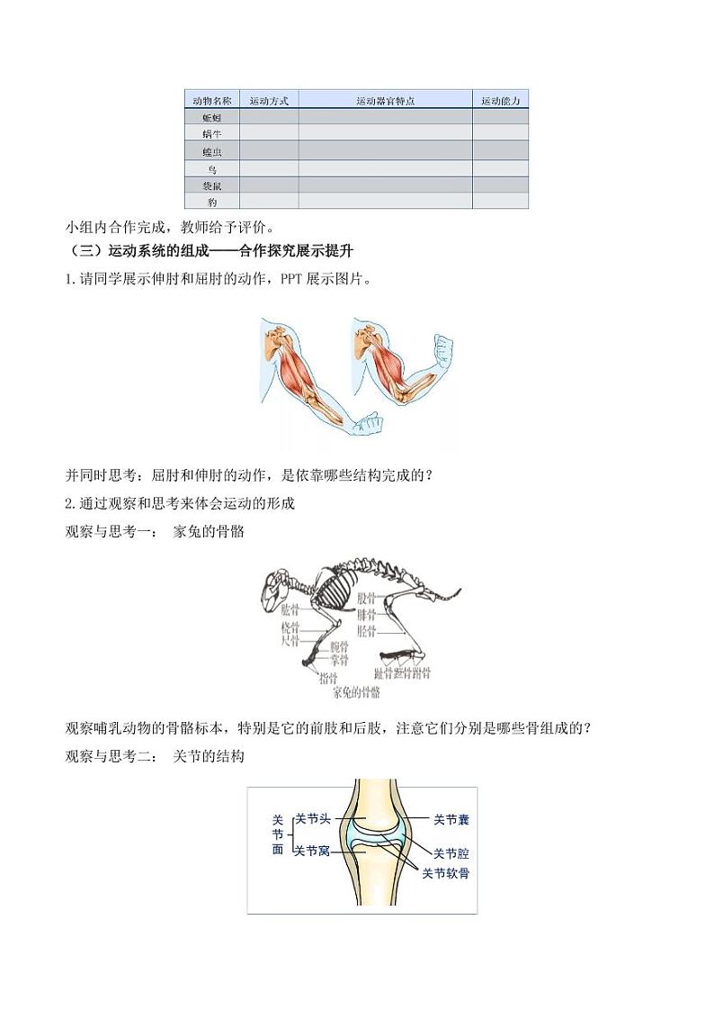 5.2.1 动物的运动（教学设计） 2023-2004八年级生物上册同步讲义（人教版）02