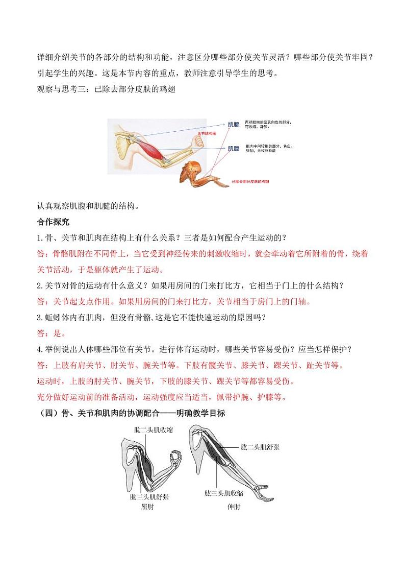 5.2.1 动物的运动（教学设计） 2023-2004八年级生物上册同步讲义（人教版）03