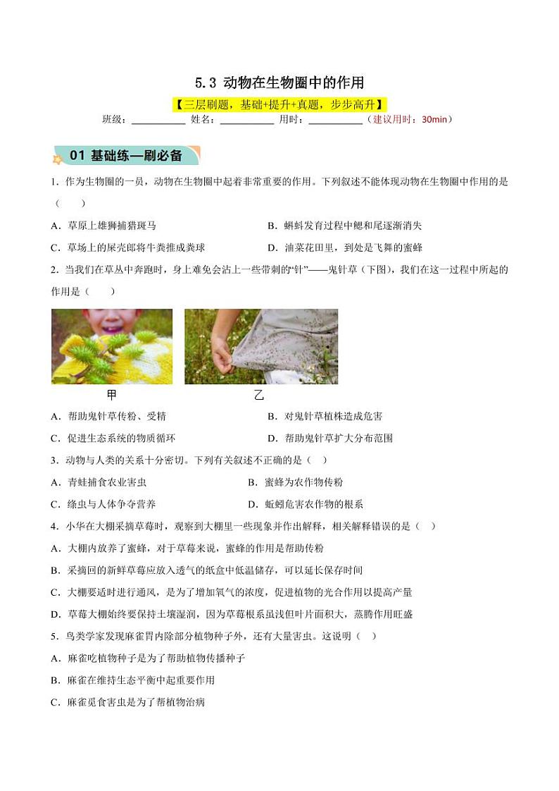 5.3 动物在生物圈中的作用（含答案） 2023-2004八年级生物上册同步讲义（人教版）01