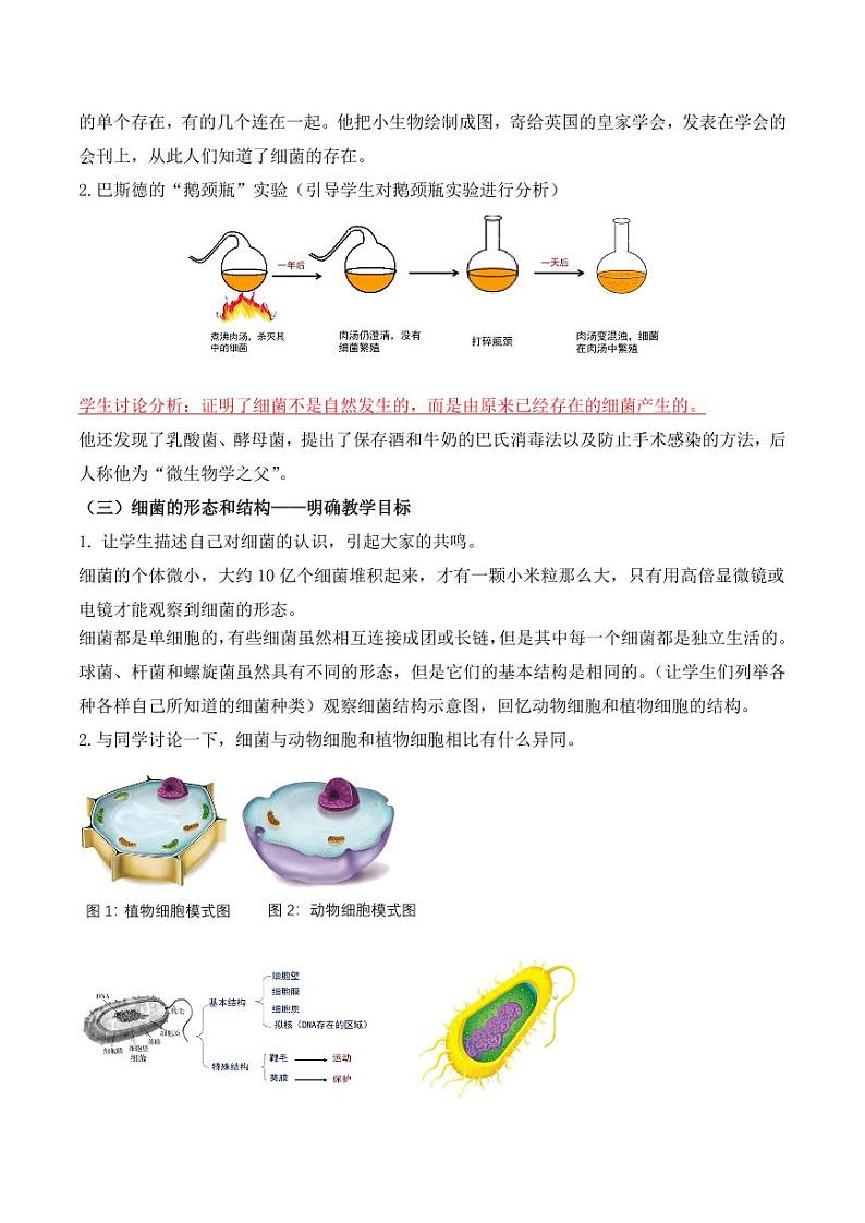 5.4.2 细菌（教学设计） 2023-2004八年级生物上册同步讲义（人教版）02