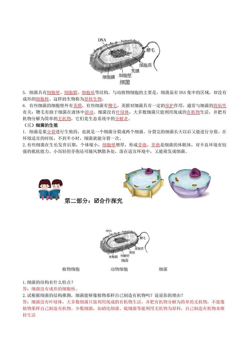 5.4.2 细菌（导学案）（含答案） 2023-2004八年级生物上册同步讲义（人教版）02