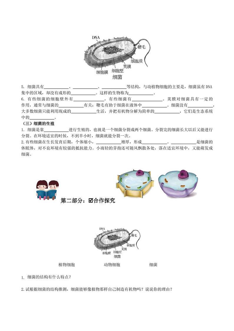 5.4.2 细菌（导学案）（含答案） 2023-2004八年级生物上册同步讲义（人教版）02