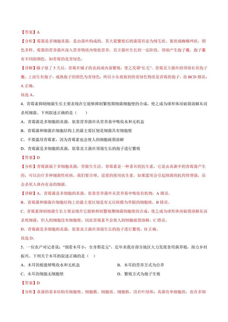 5.4.3 真菌（含答案） 2023-2004八年级生物上册同步讲义（人教版）02