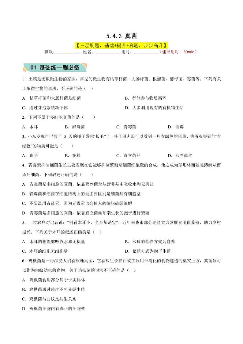 5.4.3 真菌（含答案） 2023-2004八年级生物上册同步讲义（人教版）01