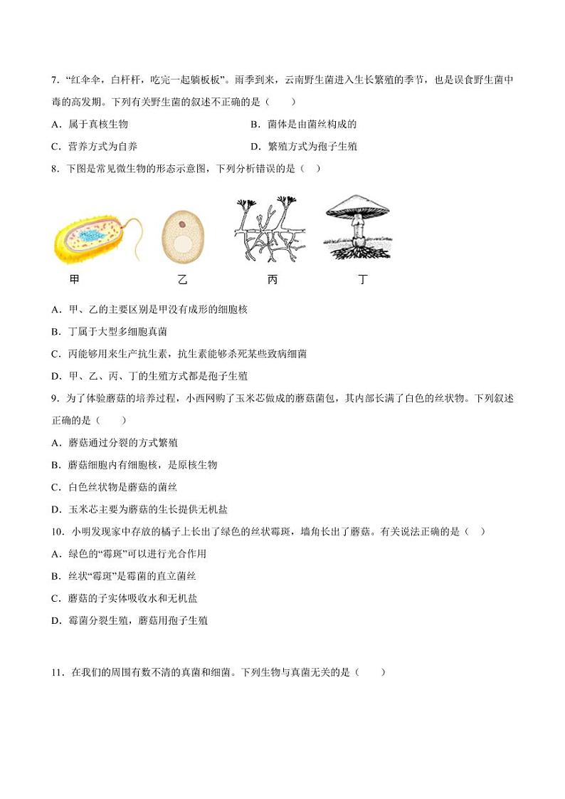 5.4.3 真菌（含答案） 2023-2004八年级生物上册同步讲义（人教版）02