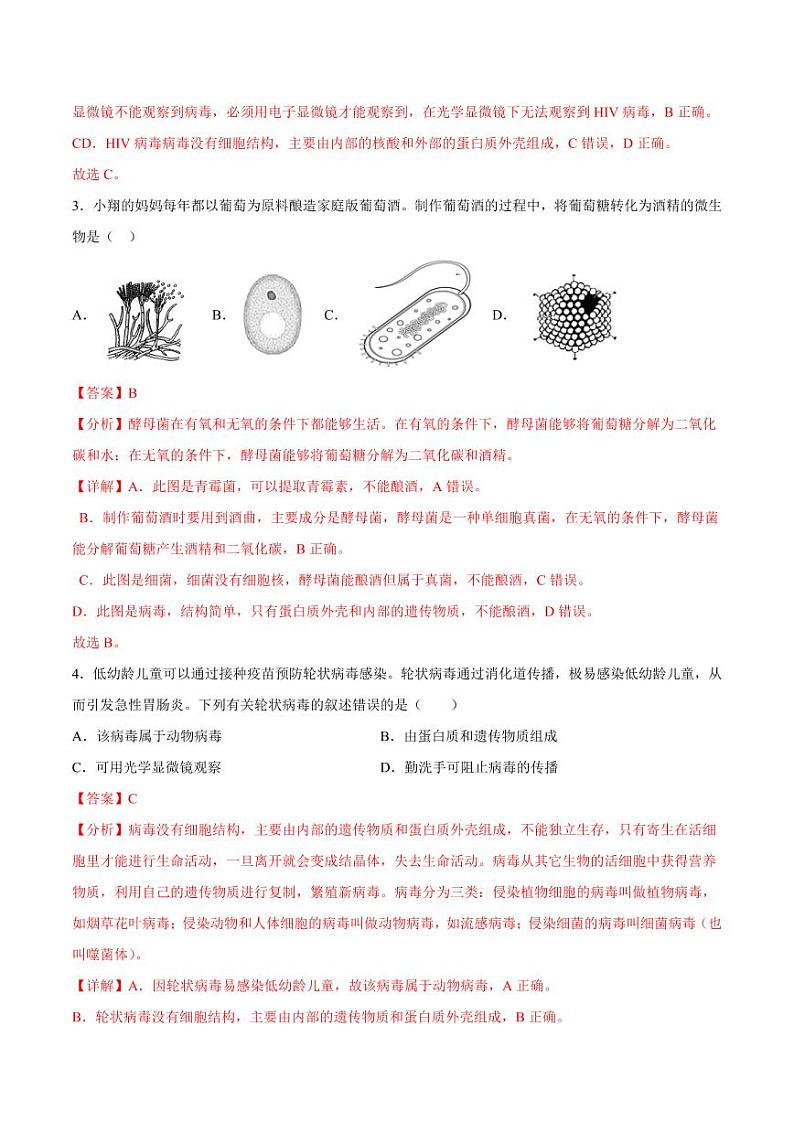 5.5 病毒（含答案） 2023-2004八年级生物上册同步讲义（人教版）02