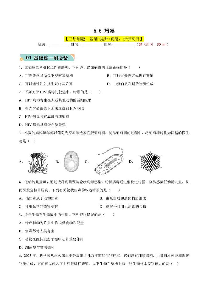 5.5 病毒（含答案） 2023-2004八年级生物上册同步讲义（人教版）01