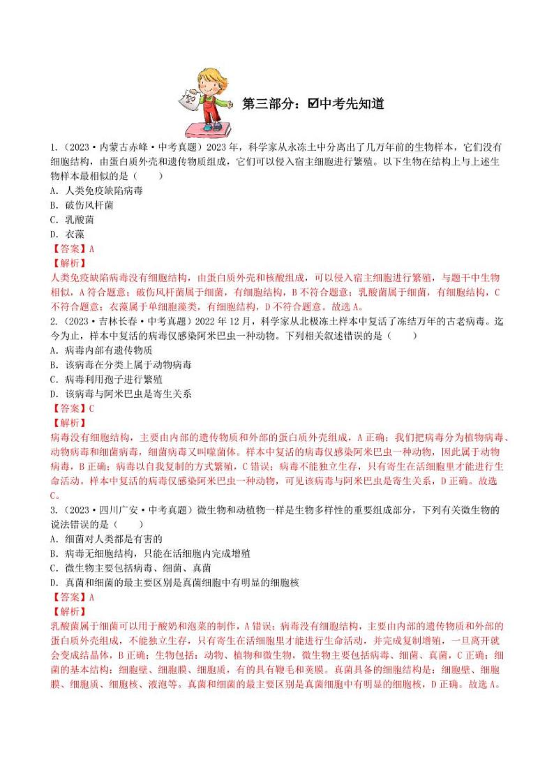 5.5 病毒（导学案）（含答案） 2023-2004八年级生物上册同步讲义（人教版）03