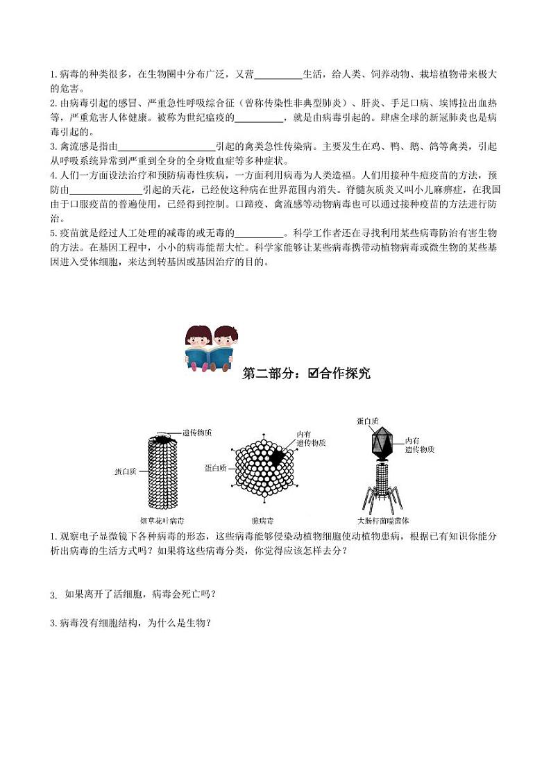 5.5 病毒（导学案）（含答案） 2023-2004八年级生物上册同步讲义（人教版）02