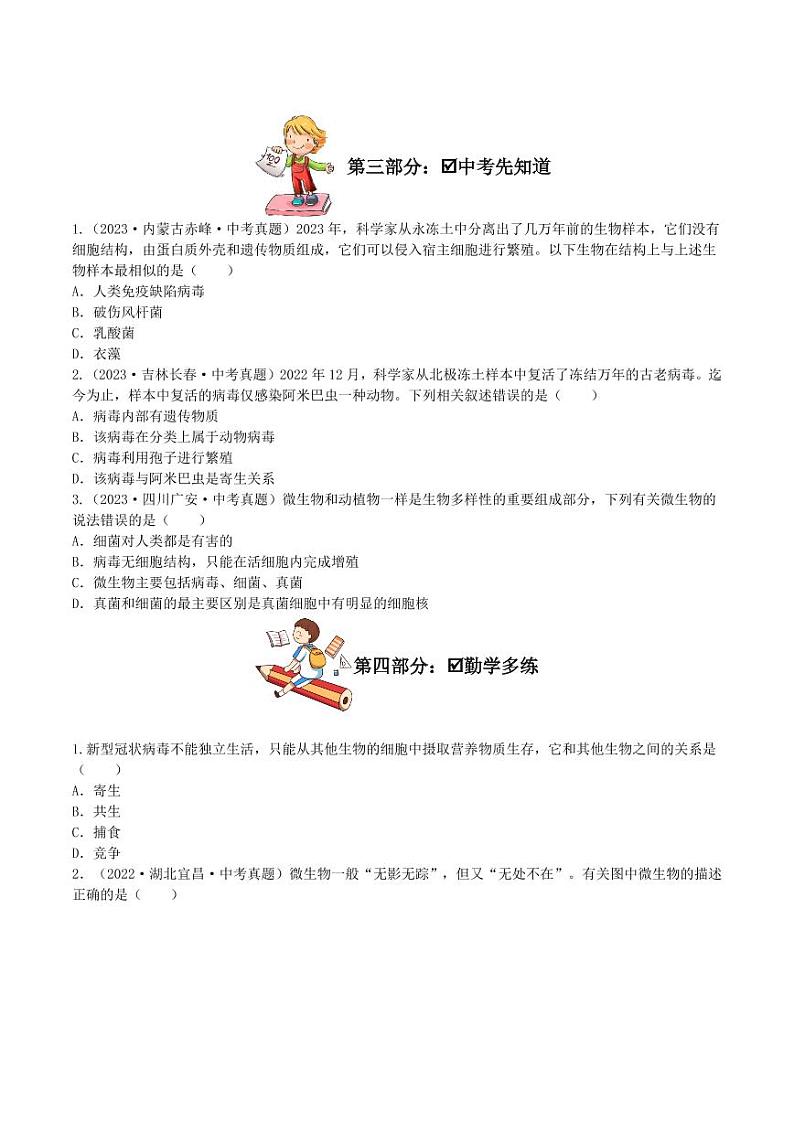 5.5 病毒（导学案）（含答案） 2023-2004八年级生物上册同步讲义（人教版）03