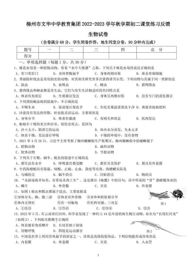 广西柳州市文华中学教育集团2022-2023学年八年级上学期期中考试生物试卷01