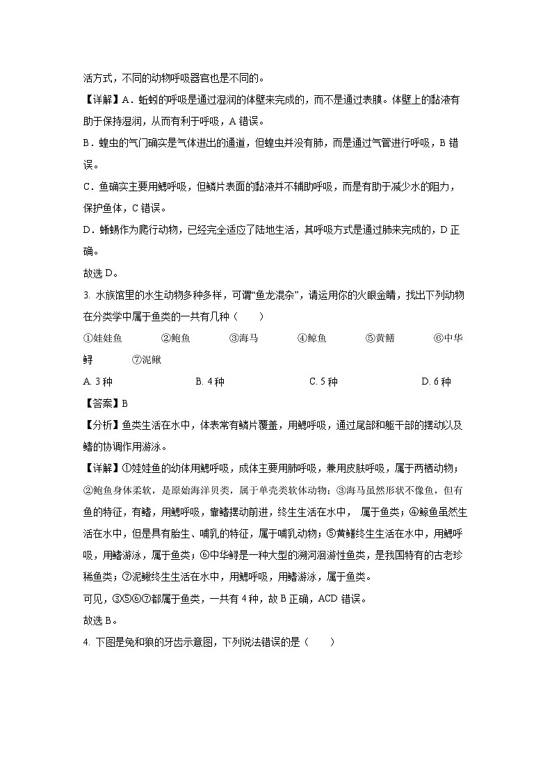 [生物][期末]辽宁省葫芦岛市兴城市2023-2024学年八年级上学期期末试题(解析版)02