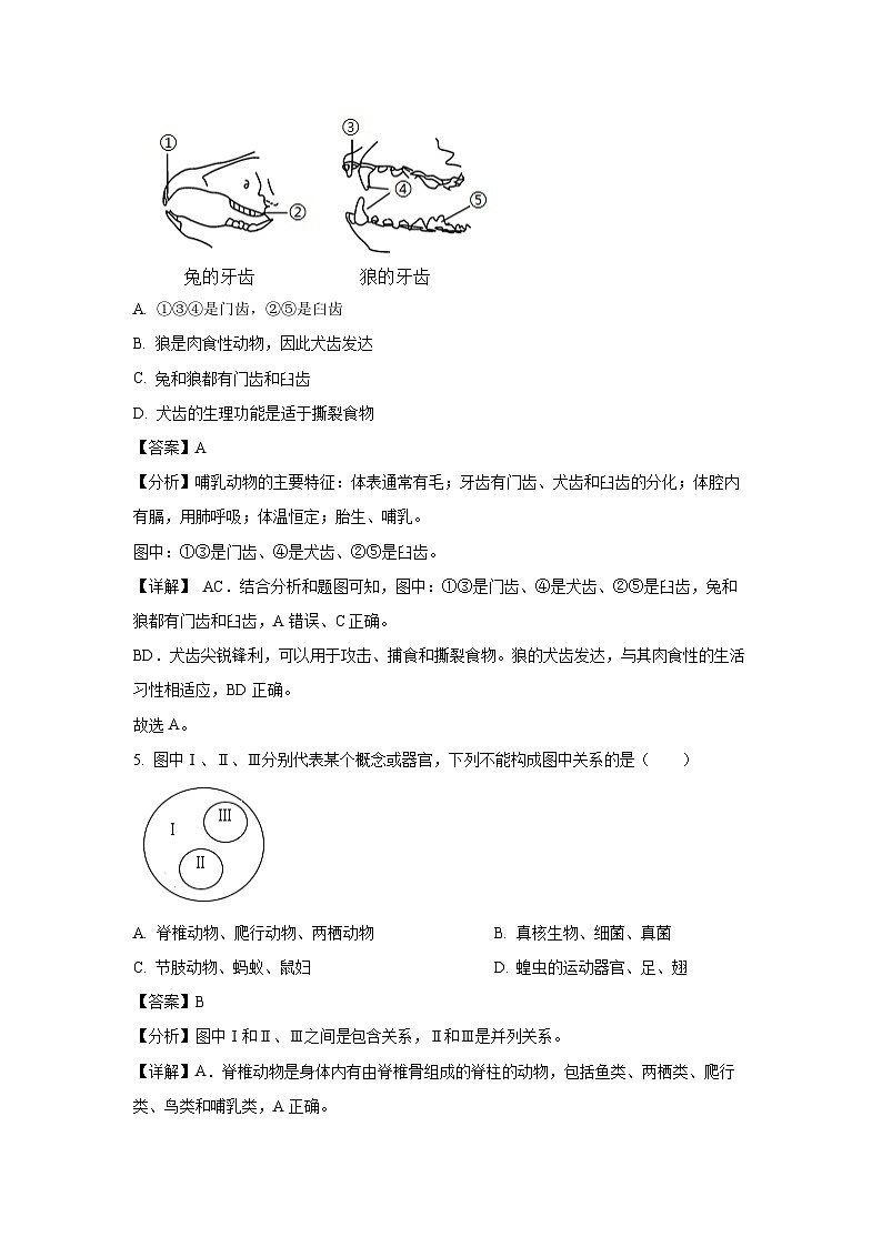 [生物][期末]辽宁省葫芦岛市兴城市2023-2024学年八年级上学期期末试题(解析版)03