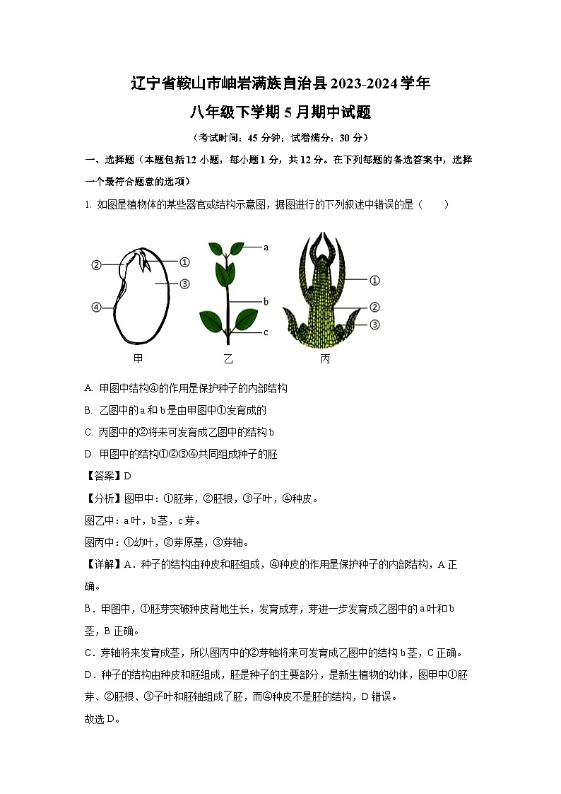 [生物][期中]辽宁省鞍山市岫岩满族自治县2023-2024学年八年级下学期5月期中试题(解析版)01