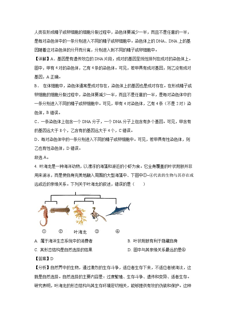 [生物][期中]辽宁省鞍山市岫岩满族自治县2023-2024学年八年级下学期5月期中试题(解析版)03