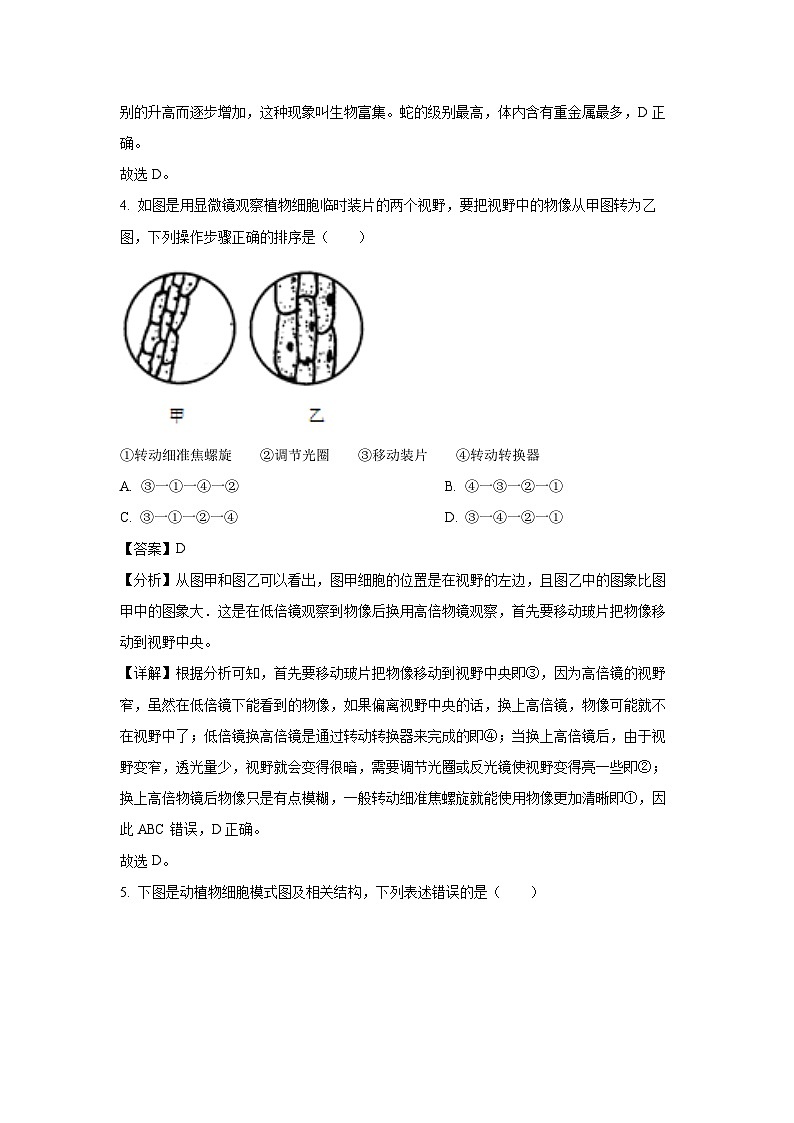 [生物][期中]广东省中山市2023-2024学年八年级下学期中考一模试题(解析版)03