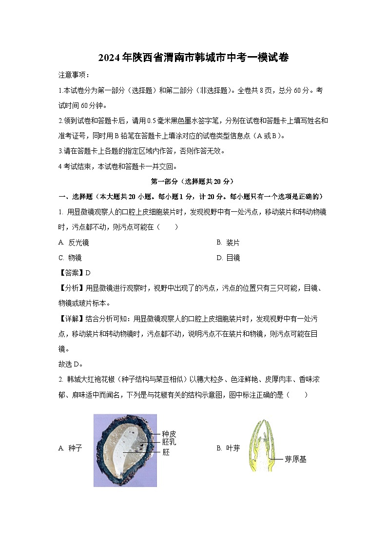 [生物][一模]2024年陕西省渭南市韩城市中考一模试卷(解析版)01