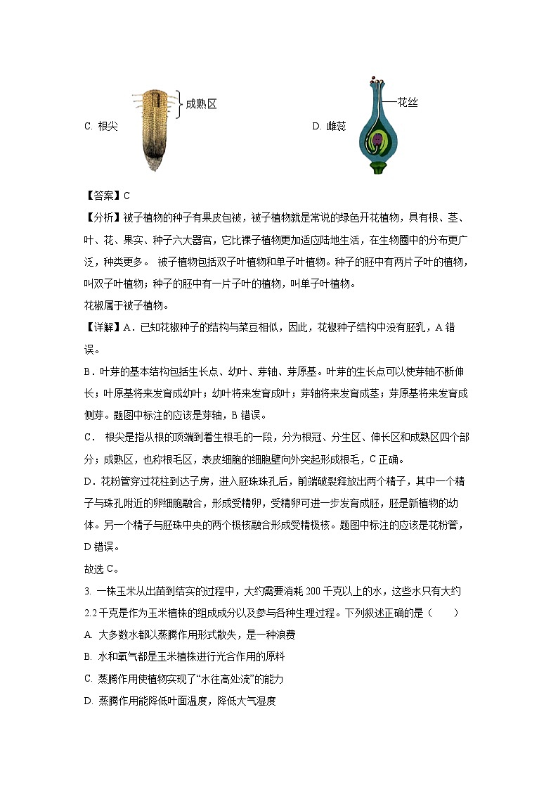 [生物][一模]2024年陕西省渭南市韩城市中考一模试卷(解析版)02