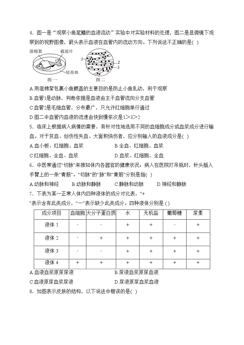 山东省潍坊市高密市2023-2024学年七年级下学期7月期末考试生物试卷(含答案)第2页