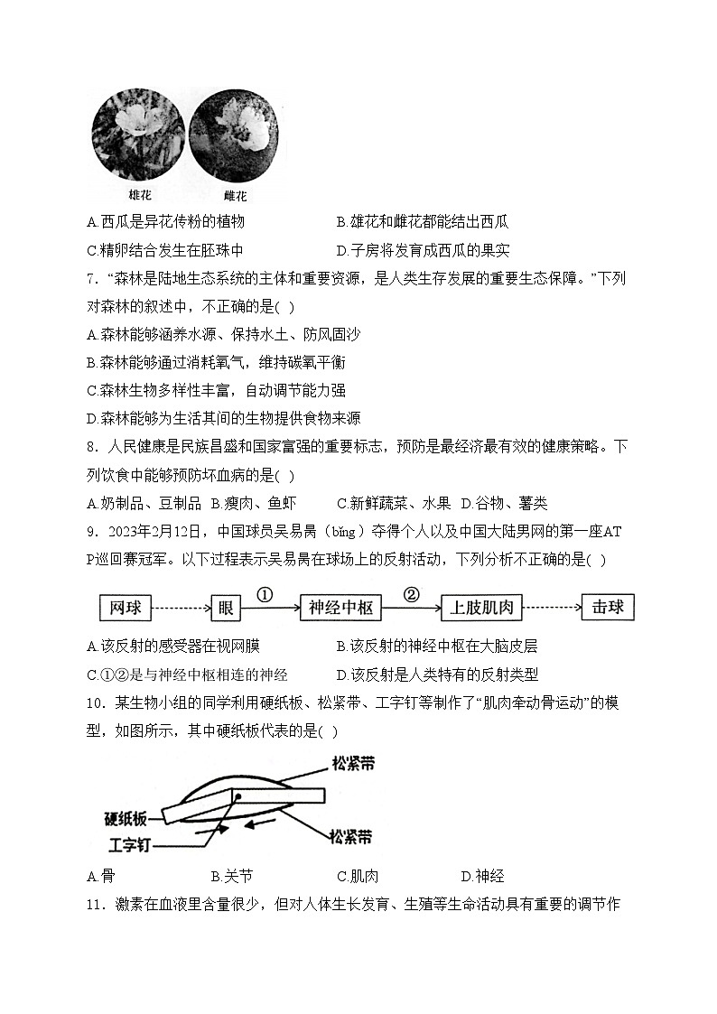 宜昌市2023-2024学年八年级下学期5月月考生物试卷(含答案)第2页