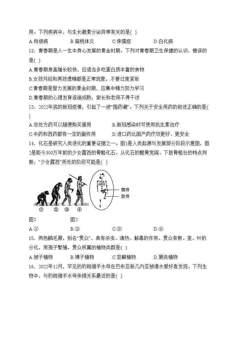 宜昌市2023-2024学年八年级下学期5月月考生物试卷(含答案)第3页