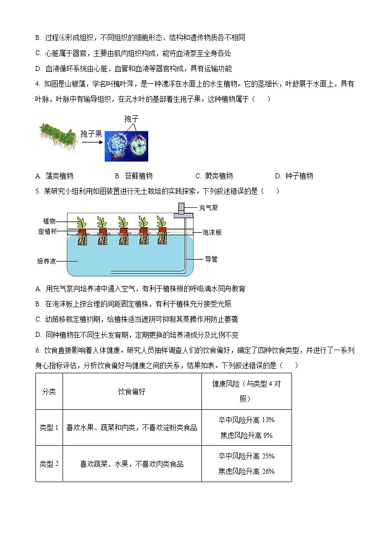 2024年山东省泰安市中考生物真题02